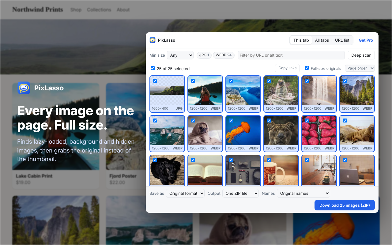 PixLasso showing a grid of images found on a page, ready to download as a ZIP